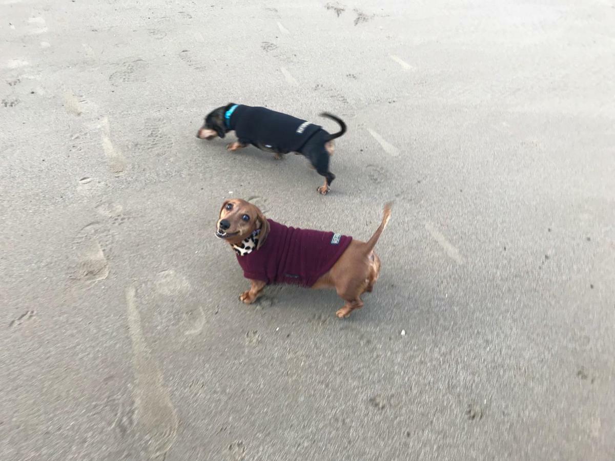 The Seahorse 1 Bedroomed Apartment Dog Friendly Filey Exteriör bild