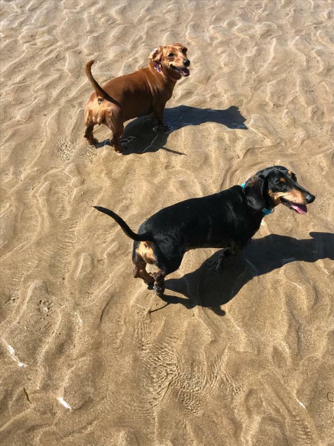 The Seahorse 1 Bedroomed Apartment Dog Friendly Filey Exteriör bild
